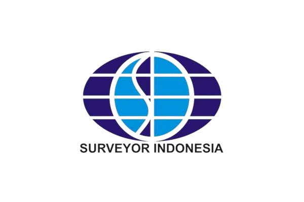 Surveyor